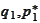 $q_{1},p_{1}^{\ast}$